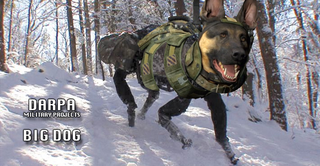 Illustration for article titled Kotaku 'Shop Contest: Dog Duty: The Winners